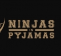 NiP, Ninjas in Pyjams, инвестиции