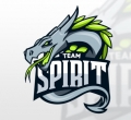Team Spirit, CS:GO, киберспорт
