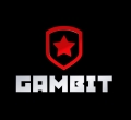 Gambit Esports, MID.TV Challenge Cup