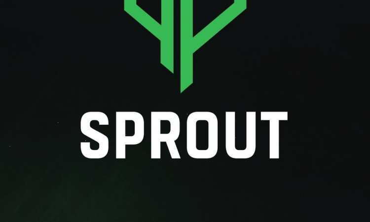 замена в составе Sprout, NaToSaphiX игрок спрутов, куда делся zehN