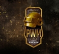 PUBG Warfare Masters 2018, анонс, анонс PUBG Warfare Masters 2018, пабг
