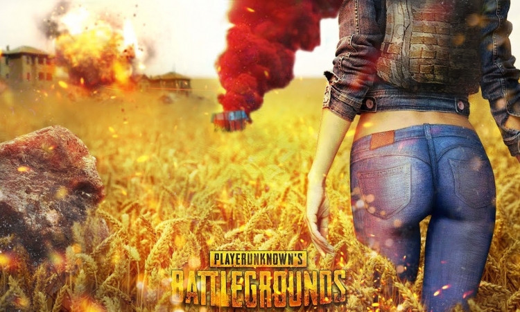 эмоции в PUBG, задница PUBG, модели PUBG, читы на PUBG