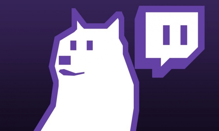 Twitch, рекорды Twitch, Блевинс, Ninja, мемас