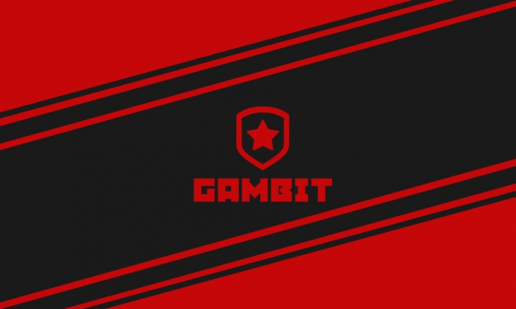 Fng и Immersion в составе Gambit Esports