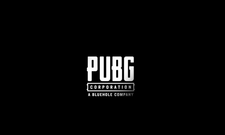 Сколько зарабатывает PUBG Corporation